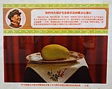 Mangoes, The Precious Gift that Great Leader, Chairman Mao Personally Gave to the Mao Zedong Thought Propaganda Team of Capital Workers & Peasants, China, 1968 - Jordan Schnitzer Museum of Art - DSC09533.jpg