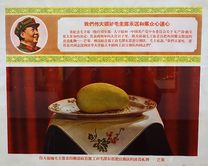 File:Mangoes, The Precious Gift that Great Leader, Chairman Mao 