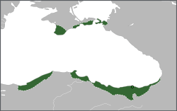 Трапезундската империя след основаването на Латинската империя 1204, показани са кратковременните завоевания в западна Мала Азия на Давид Комнин (по-късно отстъпени на Никейската империя) и Синоп (по-късно отстъпен на Иконийския султанат).