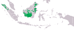 Mapa distribuicao pongo.png