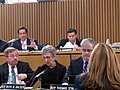 Ways & Means Committee, March 2015