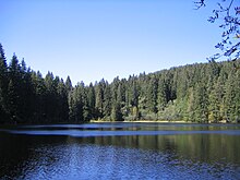 Der Mathisleweiher im Quellgebiet des Rotbachs (Zartenbachs)