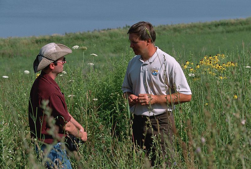 File:Men in nature among grass.jpg