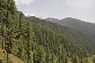 Miandam Place in Khyber Pakhtunkhwa, Pakistan