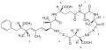 Structure moléculaire générale des microcystines