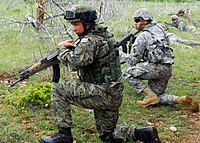 Soldiers from the Minnesota Army National Guard train with members of the Croatian army during military exercises Guardex 12 in 2012 Minnesota Croatia 02.jpg