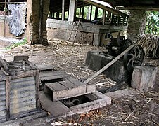 La canne à sucre : une plante… A tout faire ! - Outre-mer la 1ère