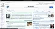 Firefox 65 running on Arch Linux