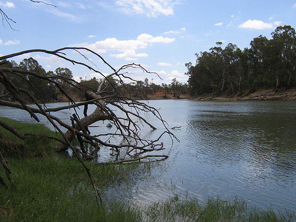 The confluence of the Murray River and Murrumbidgee River near the town of Boundary Bend