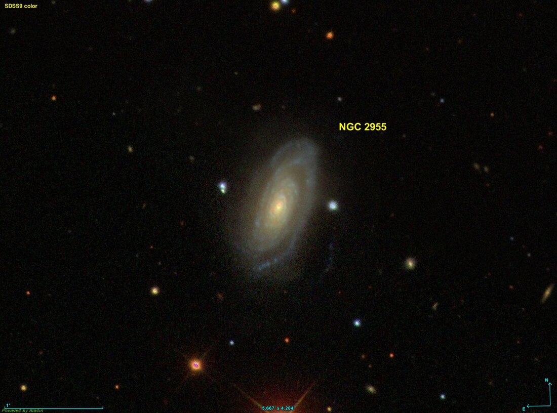 NGC 2955