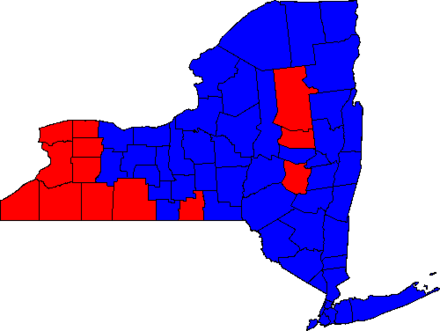 Election results by county NYGov10County.png