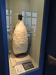長崎ペンギン水族館: 施設, 水族館, ペンギン飼育
