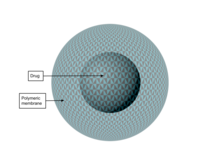 Depiction of a polymer-based nanoparticle. Nanocapsules consist of drugs encapsulated in a polymeric membrane. Nanocapsule.png