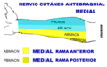 Miniatura de la versión del 05:04 13 sep 2019