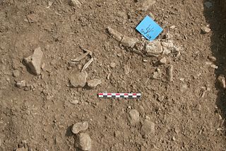 Neve David Epipalaeolithic archaeological site in Mount Carmel