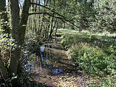 Neye II (nördl. Neye-Arm) bei Obernien