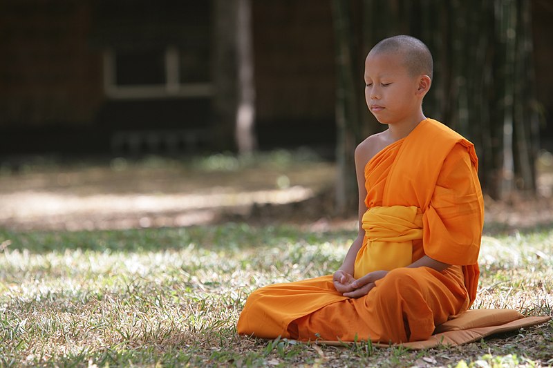 File:Novice meditating in forest.jpg