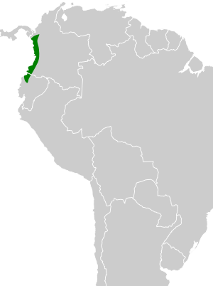 Nyctiphrynus rosenbergi map.svg