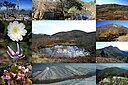 Oikedake various 2009 10 23etc.jpg