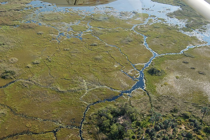 File:Okavango Delta, Botswana (2675200210).jpg