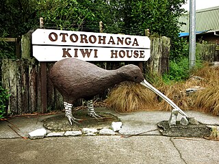 <span class="mw-page-title-main">Ōtorohanga</span> Town in Waikato, New Zealand