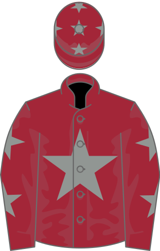 <span class="mw-page-title-main">Qualify (horse)</span> Irish-bred Thoroughbred racehorse