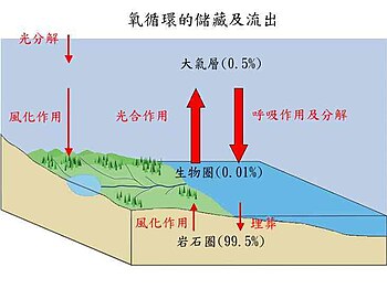 氧循环