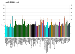 PBB GE C14orf4 gnf1h01540 s bei fs.png