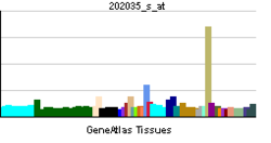 PBB GE SFRP1 202035 s ĉe tn.png