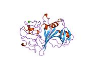 PDB 2fib EBI.jpg