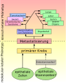 Vorschaubild der Version vom 17:43, 2. Sep. 2009