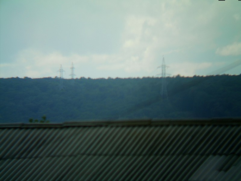 File:POWER POLES IN FOREST (from June 2010) - panoramio.jpg