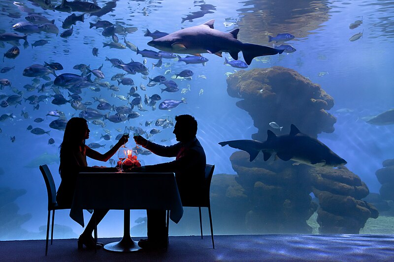 File:Palma Aquarium - Cena con tiburones.jpg