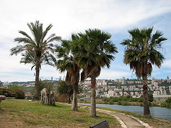 Park Kishon, Хайфа 023.JPG 