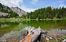 Bjeshket e Nemuna National Park is home to a wide range of flora and fauna species. Parku Kombetar Bjeshket Nemuna , Liqeni i madh ne Liqenat , Rugove.jpg