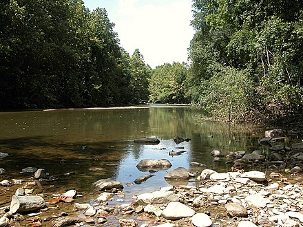Typical freshwater river above the tidal zone. The Patapsco River includes the famous Thomas Viaduct and is part of the Patapsco Valley State Park. Later, the river forms Baltimore's Inner Harbor as it empties into the Chesapeake Bay.