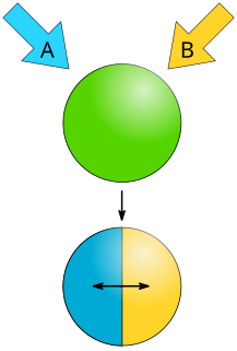 Phase separation the creation of two distinct phases from a single homogeneous mixture