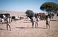 Piccanins and their charges. Overgrazed Bapedi reserve near Pietersburg, Drakensberg (35016470844).jpg