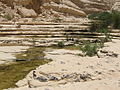 PikiWiki Israel 36496 Nature and Colors.jpg