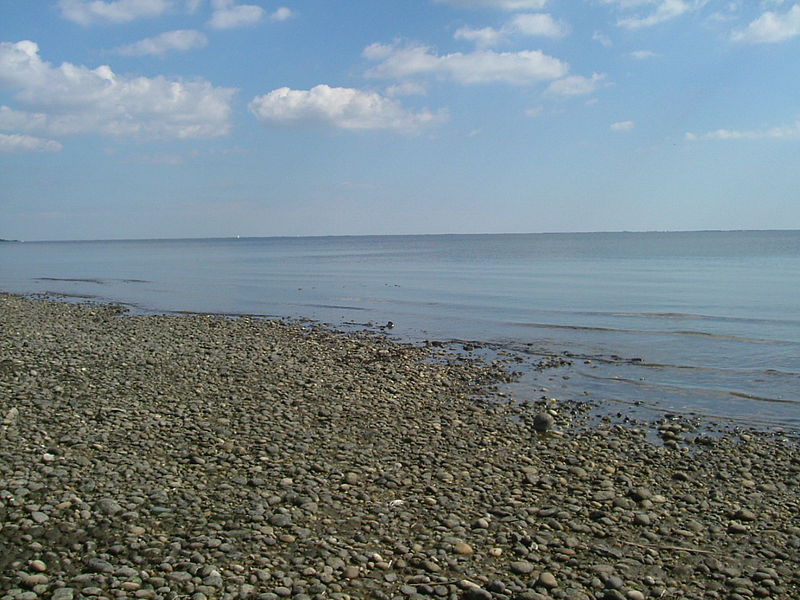 File:Pine Neck shore.JPG