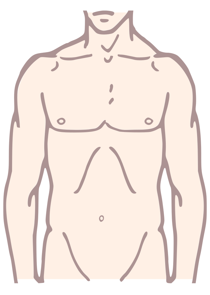 File Pioneer Plaque Man Upper Body As Diagram Template