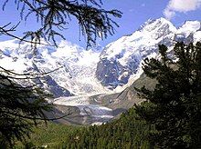 Piz Bernina and the Morteratsch Glacier