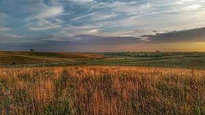 Iowa: Staat van die Verenigde State van Amerika