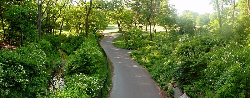 File:ProspectPark Brooklyn Nethermead.jpg