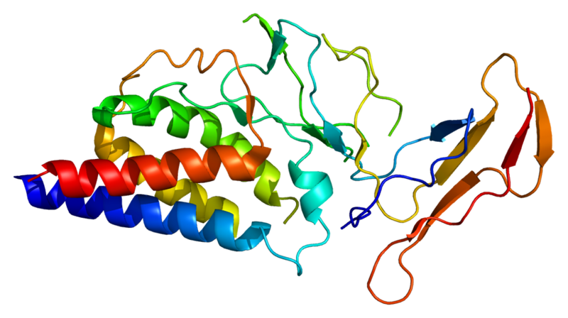 File:Protein IL2RA PDB 1z92.png