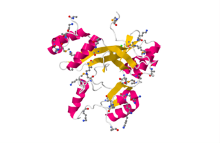 <span class="mw-page-title-main">L1TD1</span> Protein-coding gene in the species Homo sapiens