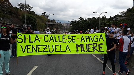 Protesters with sign Venezuela 2014.jpg