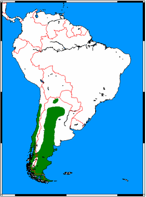 Description de l'image Pseudalopex griseus range map.png.