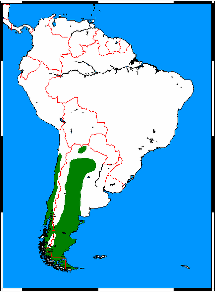 File:Pseudalopex griseus range map.png