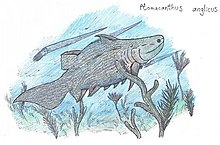 Ptomacanthus.jpg